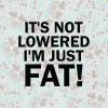 Its Not Lowered Im Just Fat It's Not Lowered I'm Just Fat