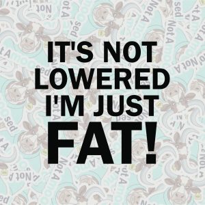 It's Not Lowered I'm Just Fat