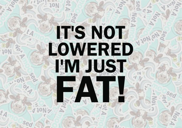 Its Not Lowered Im Just Fat It's Not Lowered I'm Just Fat