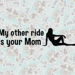 My Other Ride Is Your Mom